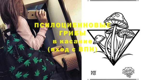 ALPHA PVP Армянск