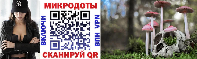Галлюциногенные грибы Cubensis  blacksprut как зайти  Козловка 